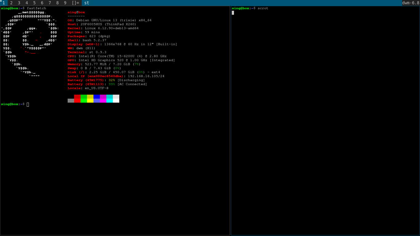 A finished dwm workspace with fastfetch output.