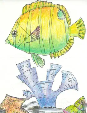 locating fish