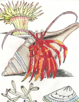 senor crab