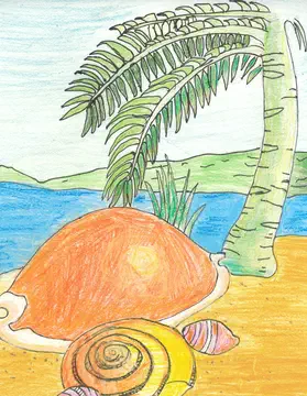 shells on beach
